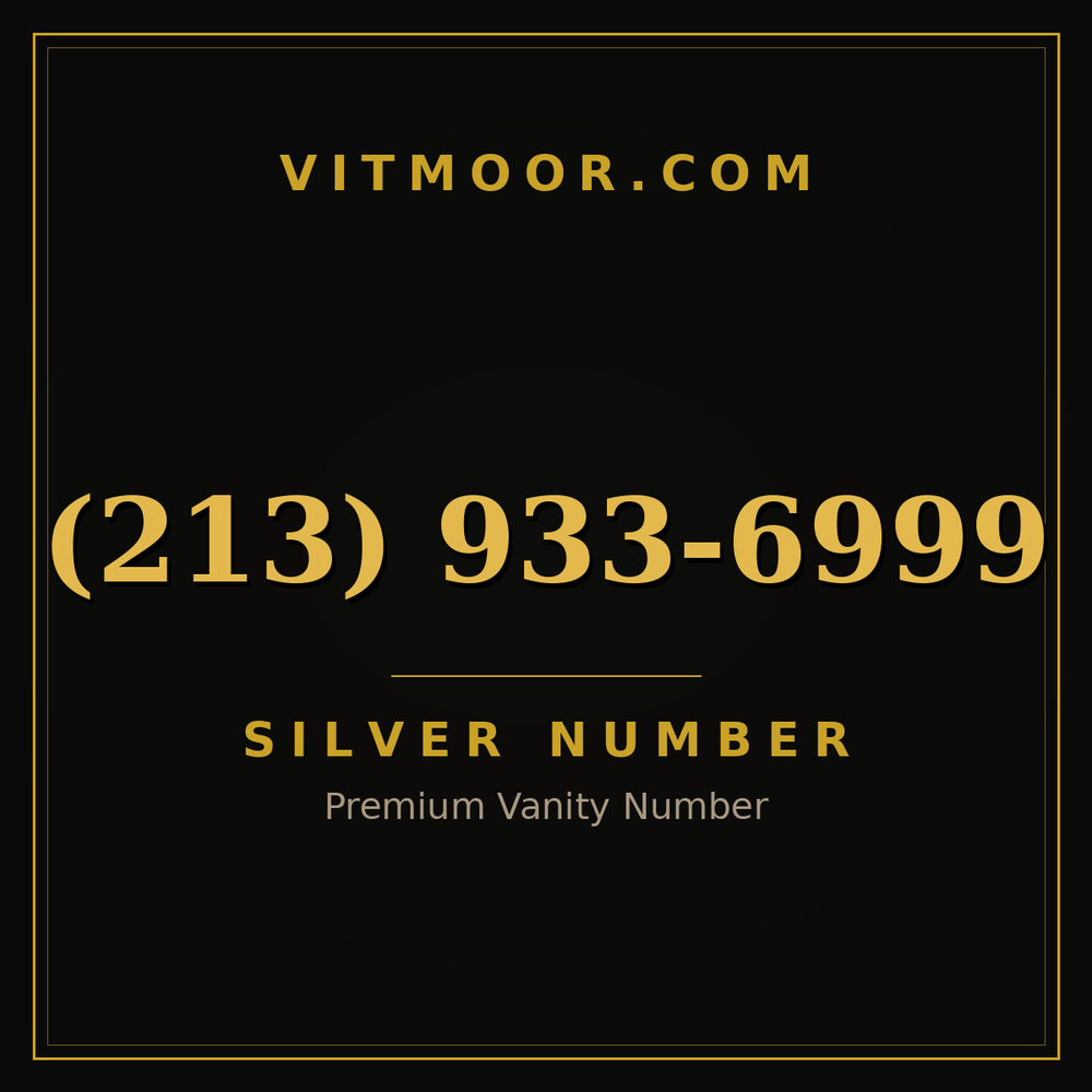 213 933-6999