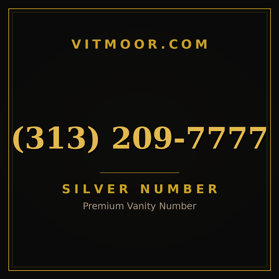 VITMOOR Silver premium number (313) 209-7777