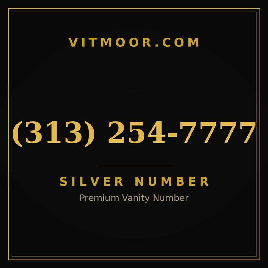 VITMOOR Silver premium number (313) 254-7777