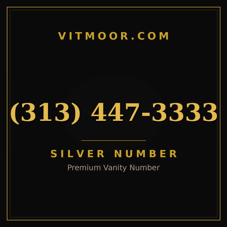 VITMOOR Silver premium number (313) 447-3333