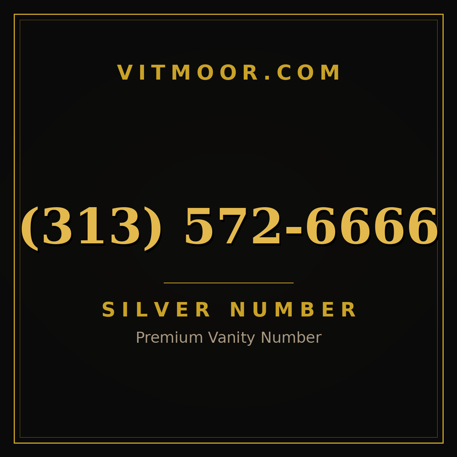 VITMOOR Silver premium number (313) 572-6666