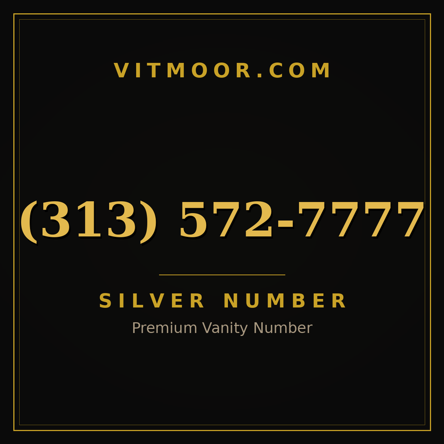VITMOOR Silver premium number (313) 572-7777