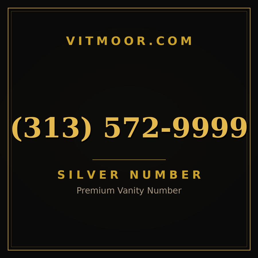 VITMOOR Silver premium number (313) 572-9999