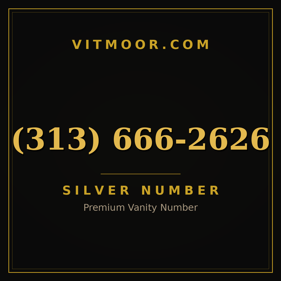 VITMOOR Silver premium number (313) 666-2626