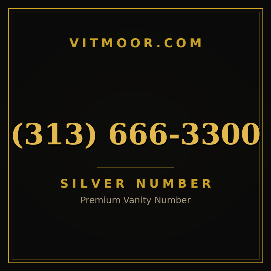 VITMOOR Silver premium number (313) 666-3300