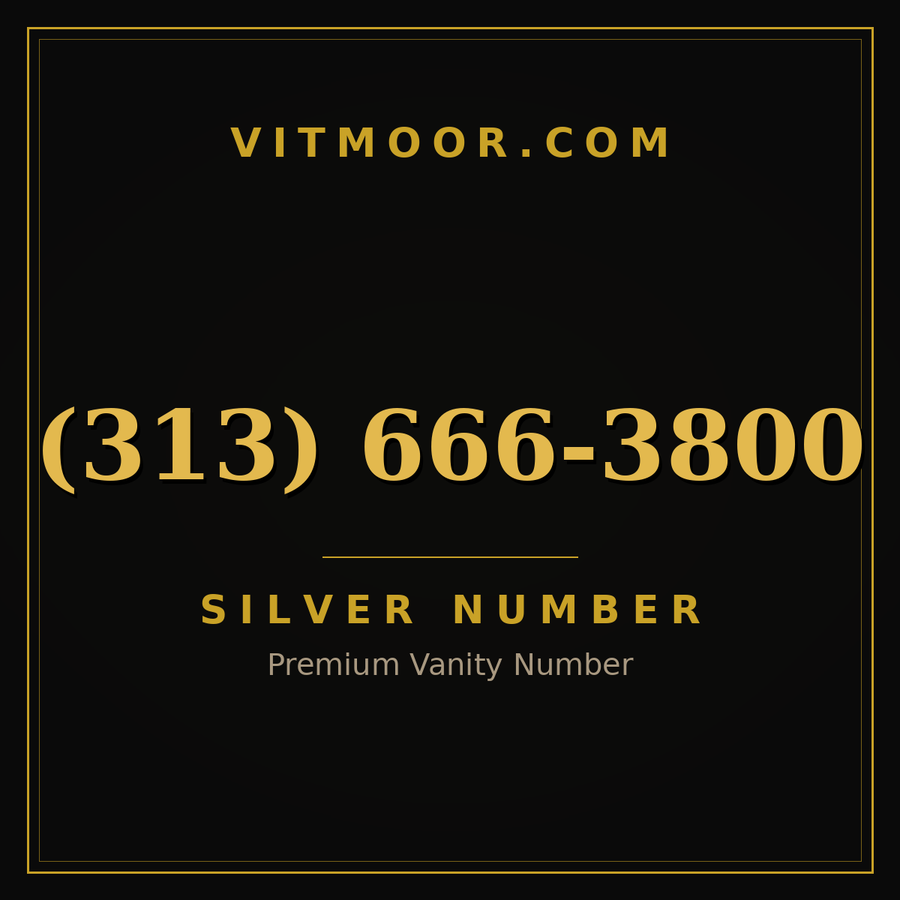 VITMOOR Silver premium number (313) 666-3800