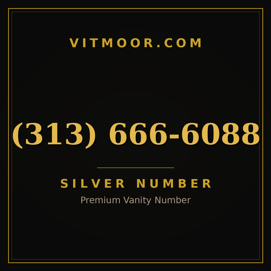 VITMOOR Silver premium number (313) 666-6088