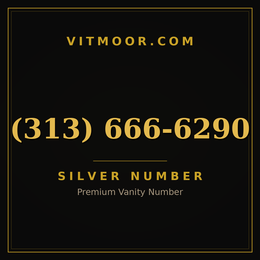 VITMOOR Silver premium number (313) 666-6290