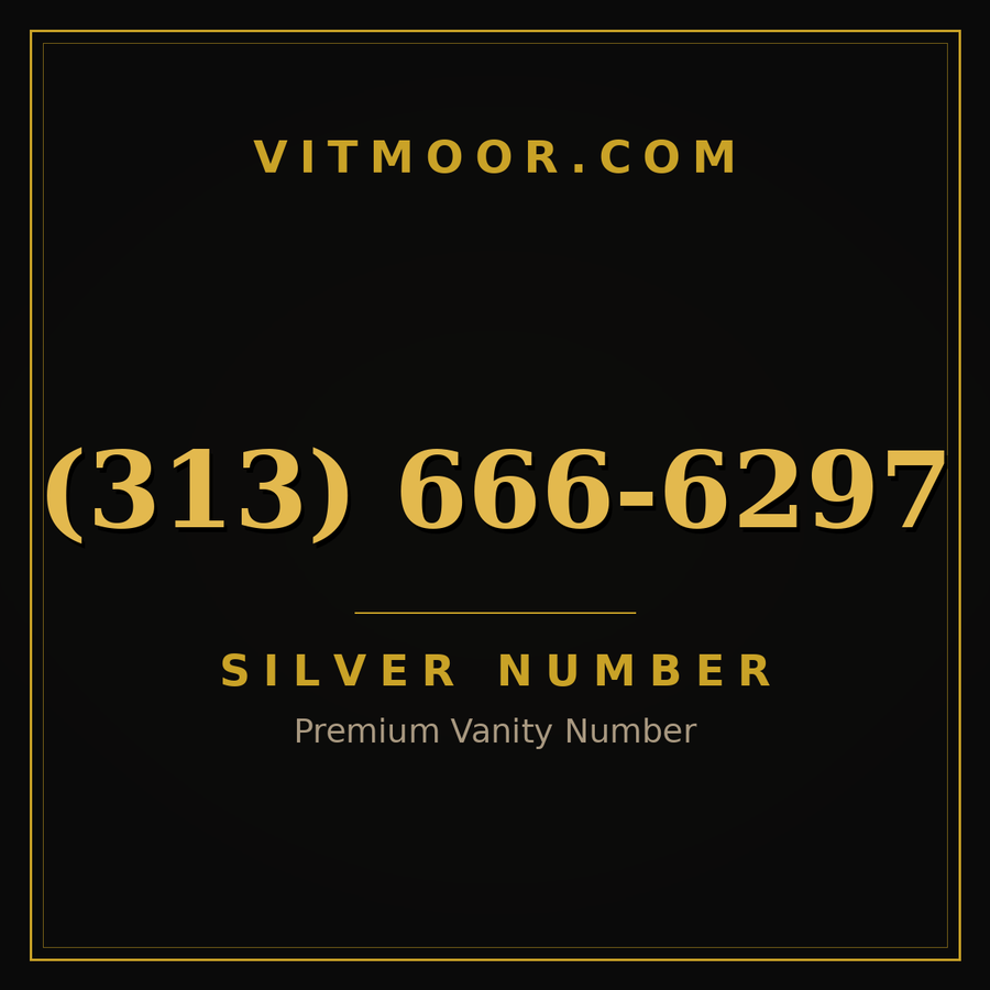 VITMOOR Silver premium number (313) 666-6297