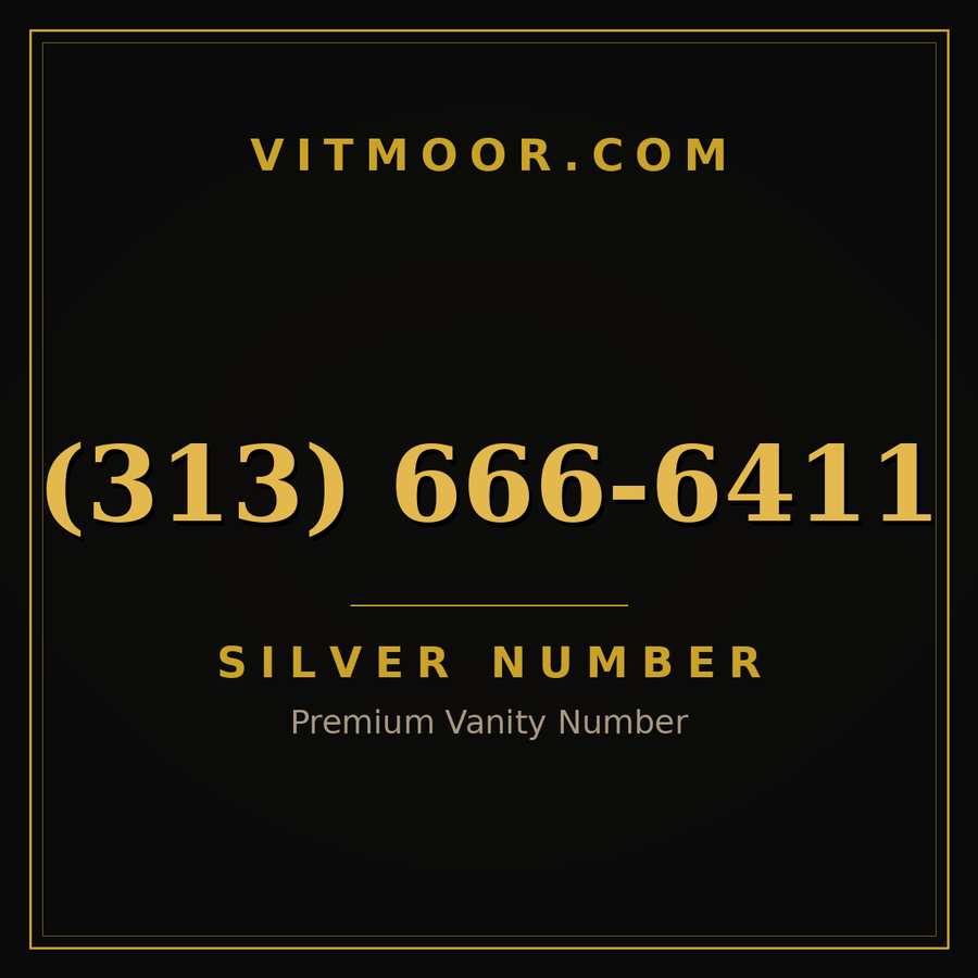 VITMOOR Silver premium number (313) 666-6411
