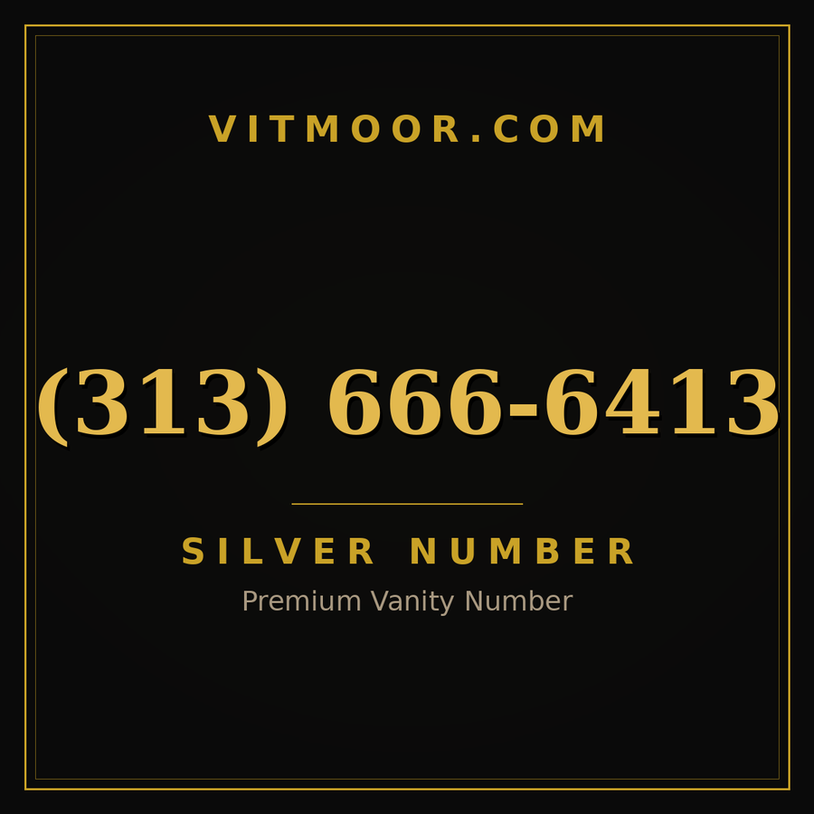 VITMOOR Silver premium number (313) 666-6413