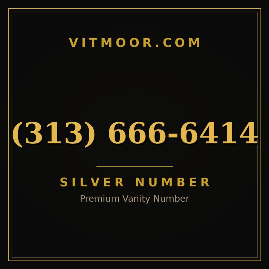 VITMOOR Silver premium number (313) 666-6414