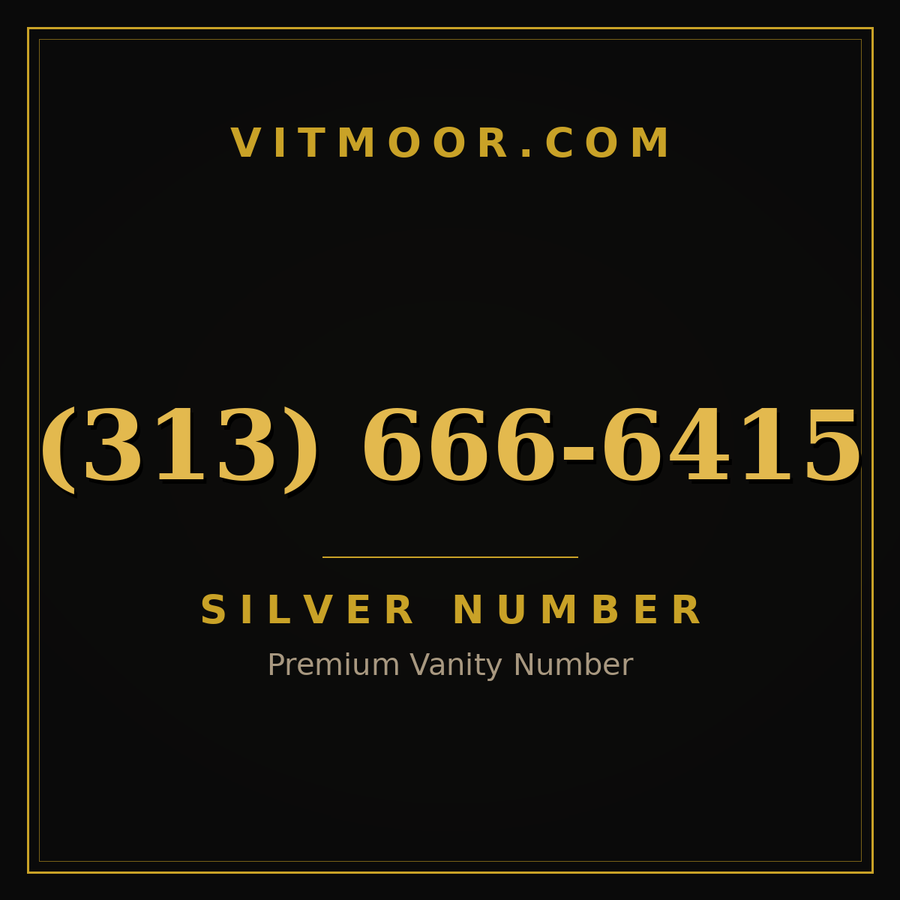 VITMOOR Silver premium number (313) 666-6415
