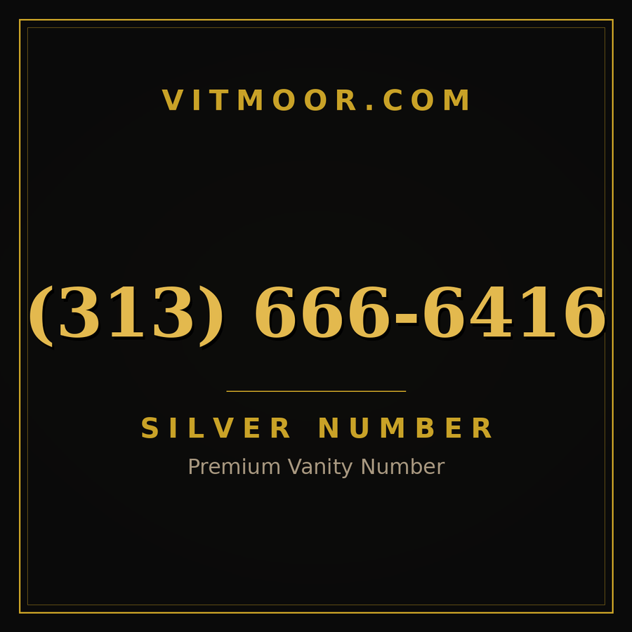 VITMOOR Silver premium number (313) 666-6416