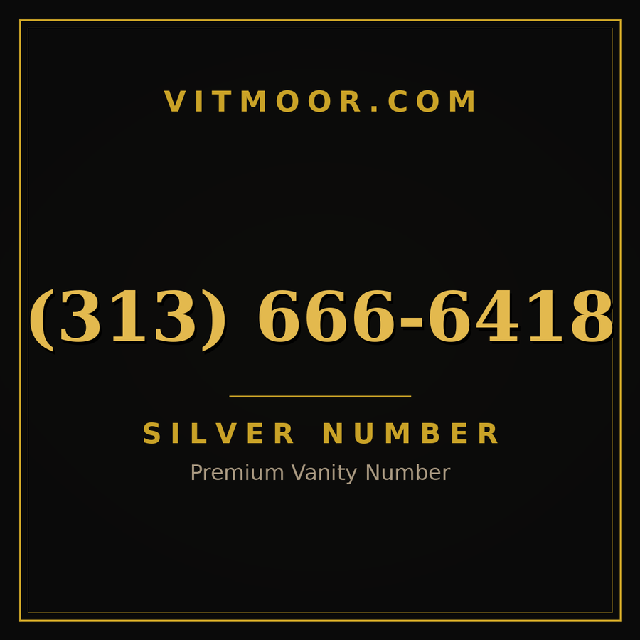 VITMOOR Silver premium number (313) 666-6418