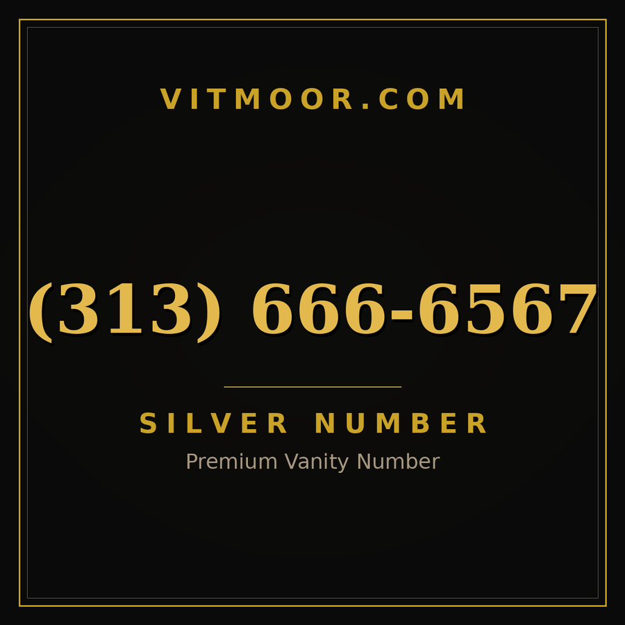 VITMOOR Silver premium number (313) 666-6567