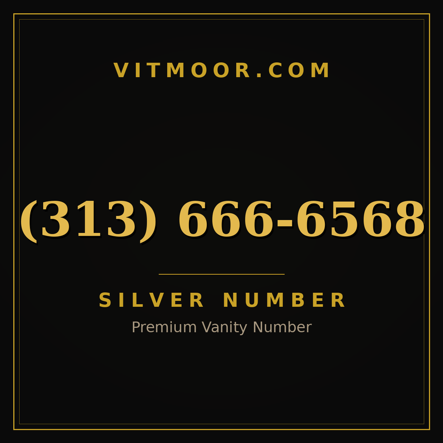 VITMOOR Silver premium number (313) 666-6568