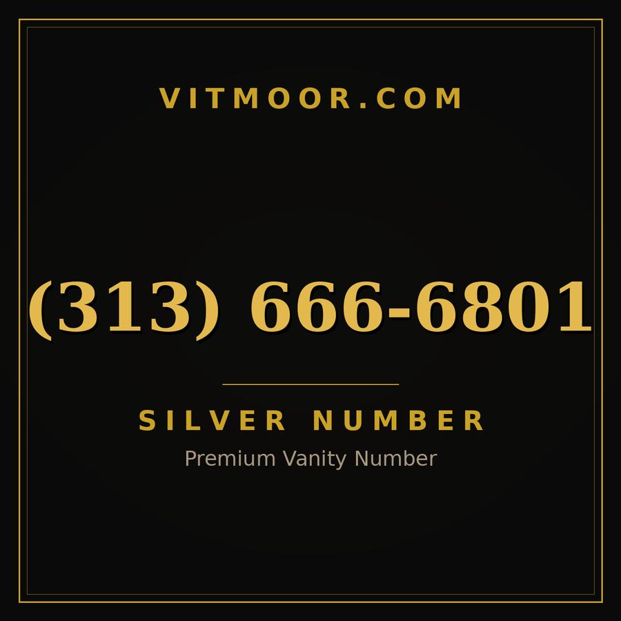 VITMOOR Silver premium number (313) 666-6801