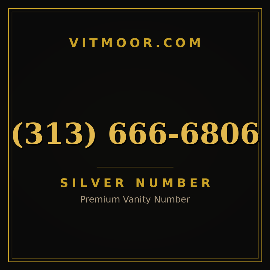 VITMOOR Silver premium number (313) 666-6806