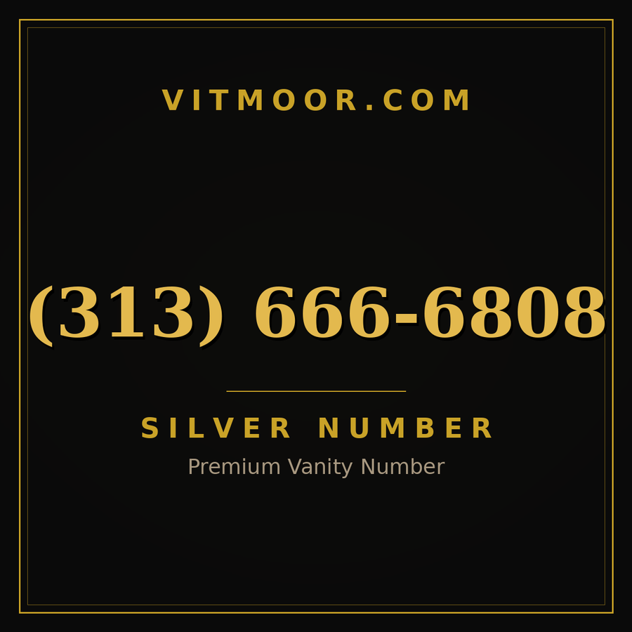 VITMOOR Silver premium number (313) 666-6808