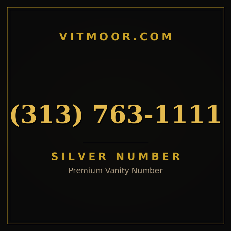 VITMOOR Silver premium number (313) 763-1111