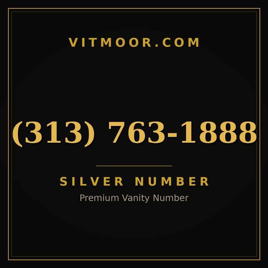 VITMOOR Silver premium number (313) 763-1888