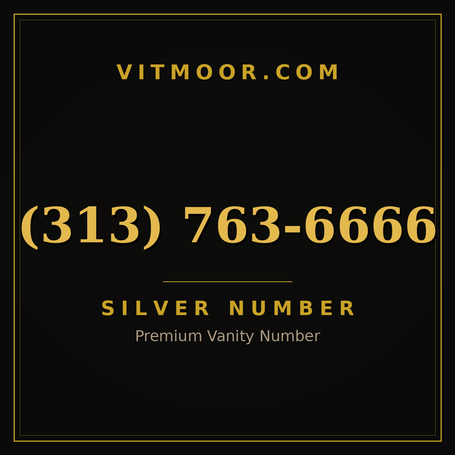 VITMOOR Silver premium number (313) 763-6666