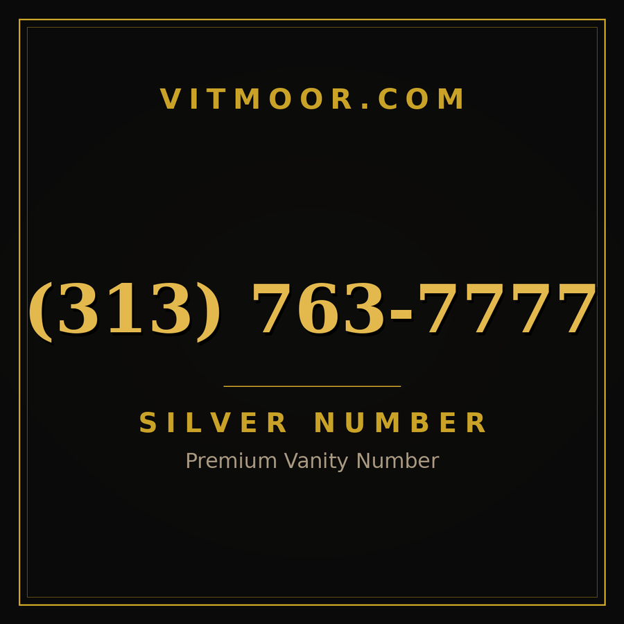 VITMOOR Silver premium number (313) 763-7777