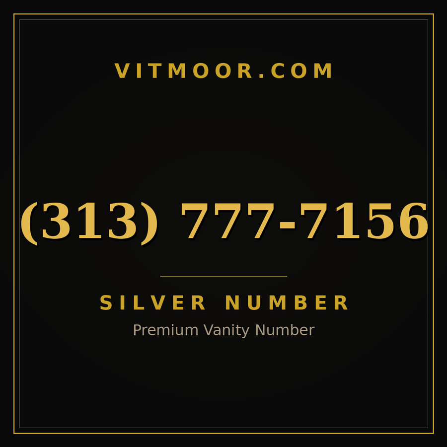 VITMOOR Silver premium number (313) 777-7156