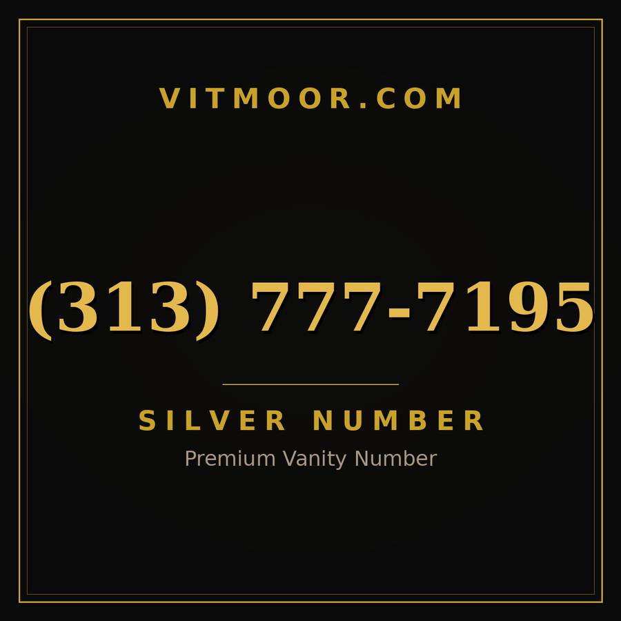 VITMOOR Silver premium number (313) 777-7195