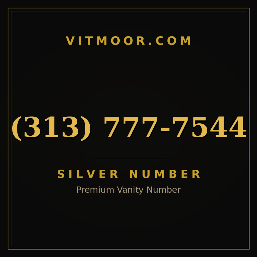 VITMOOR Silver premium number (313) 777-7544