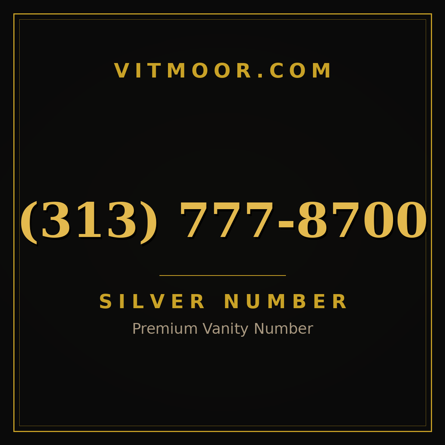 VITMOOR Silver premium number (313) 777-8700