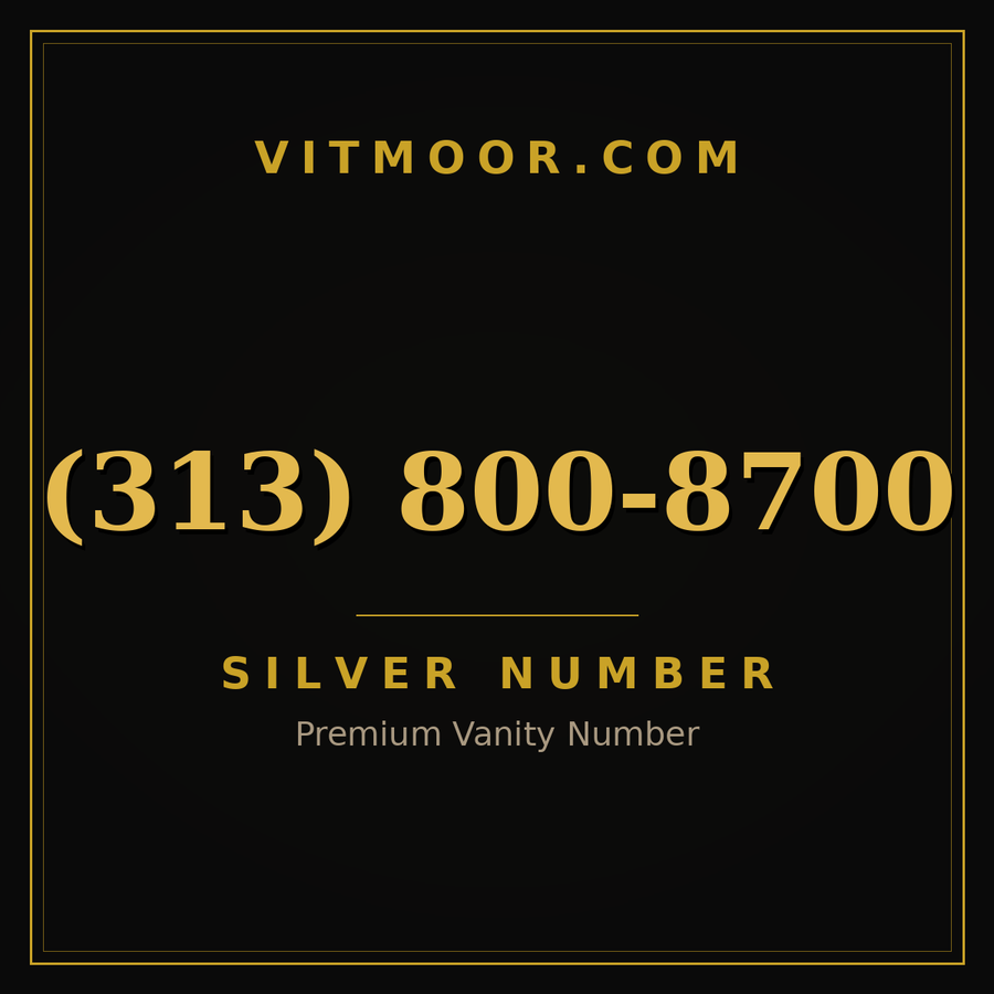 VITMOOR Silver premium number (313) 800-8700