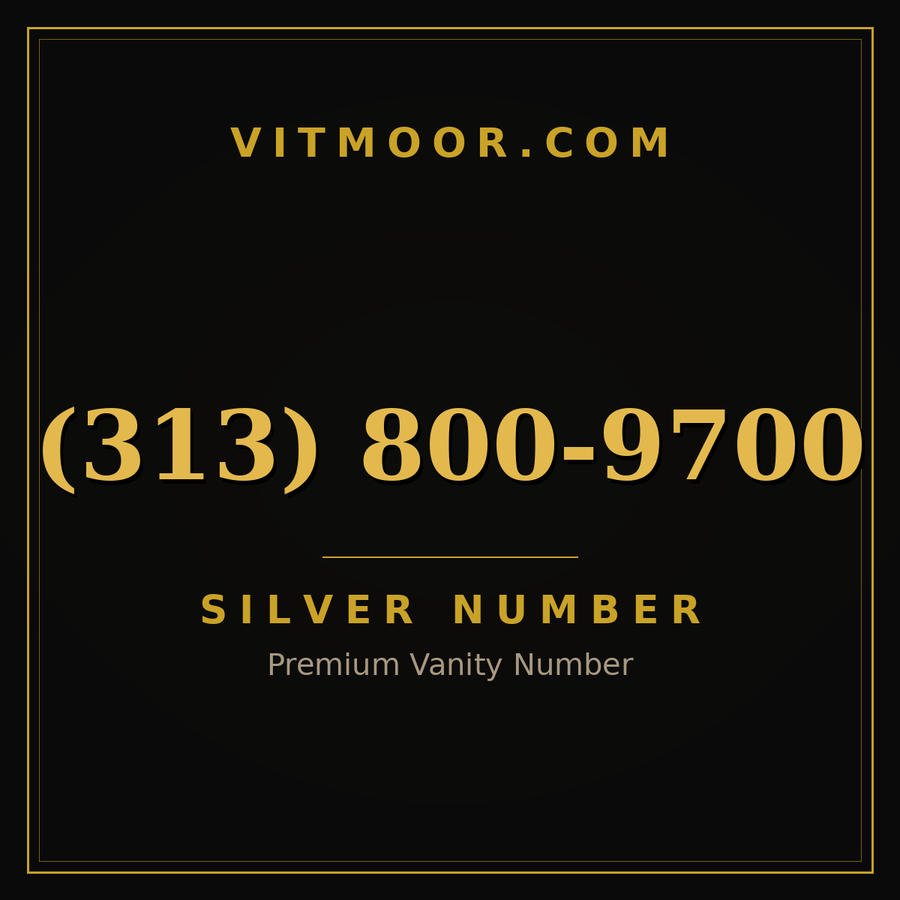 VITMOOR Silver premium number (313) 800-9700