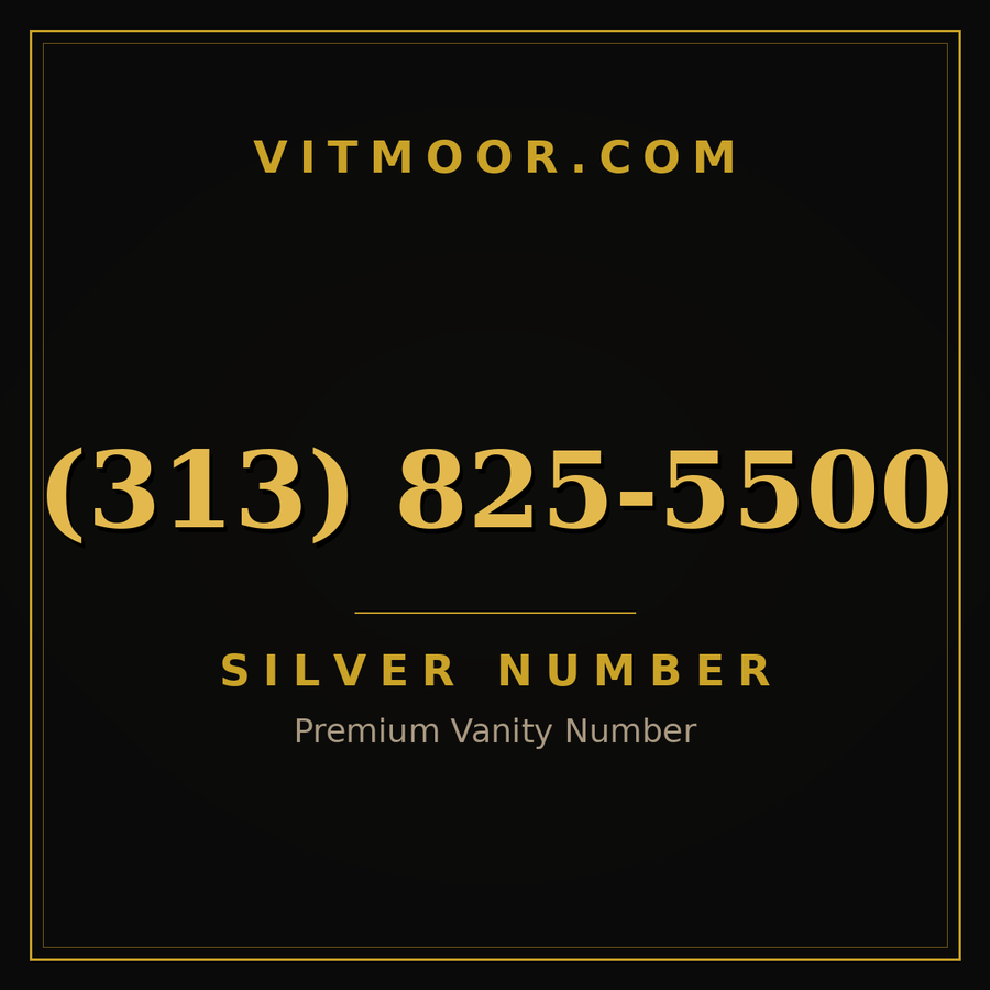 VITMOOR Silver premium number (313) 825-5500