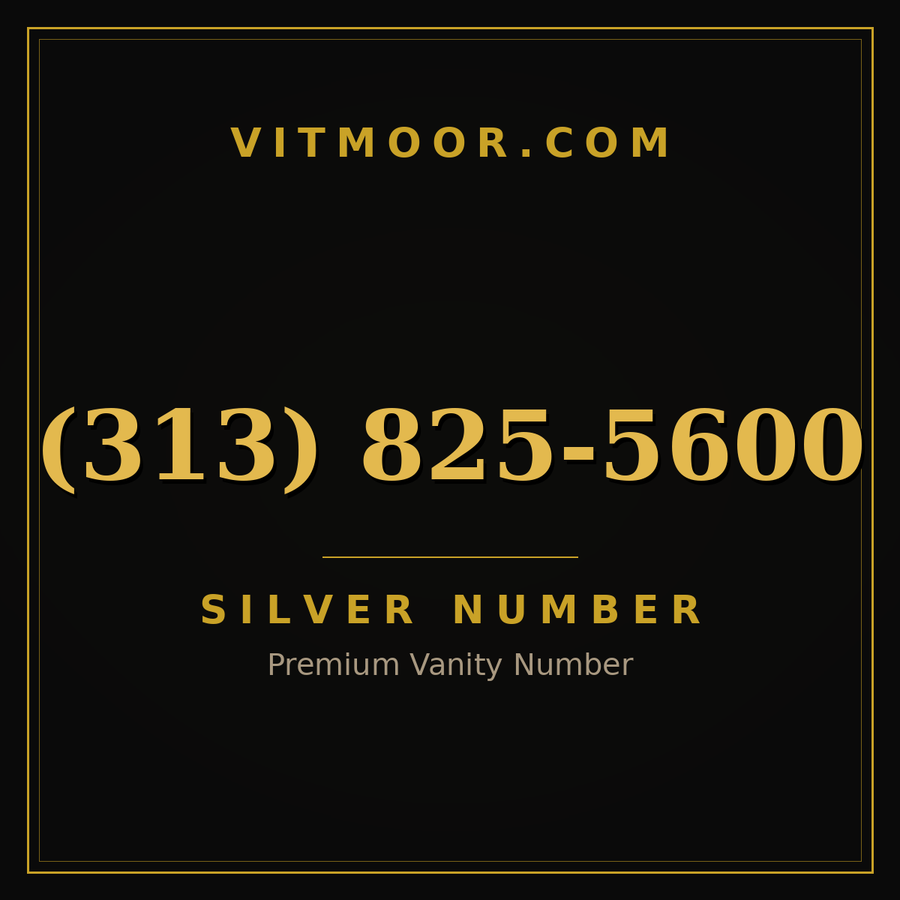 VITMOOR Silver premium number (313) 825-5600
