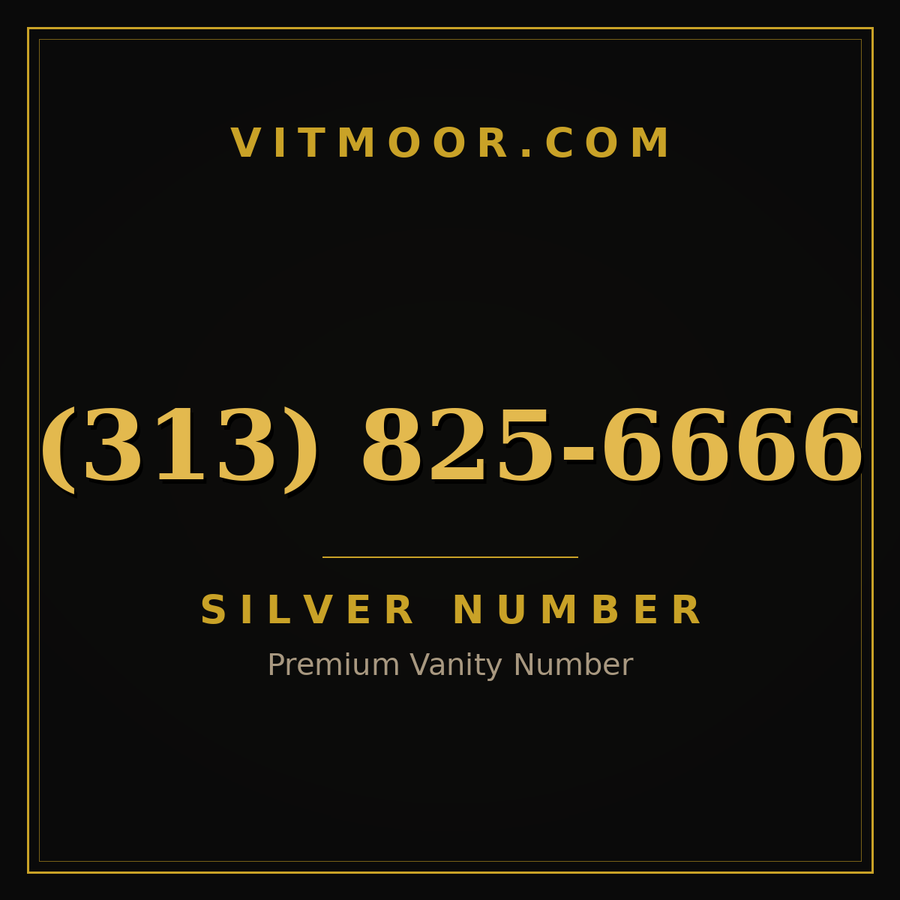 VITMOOR Silver premium number (313) 825-6666