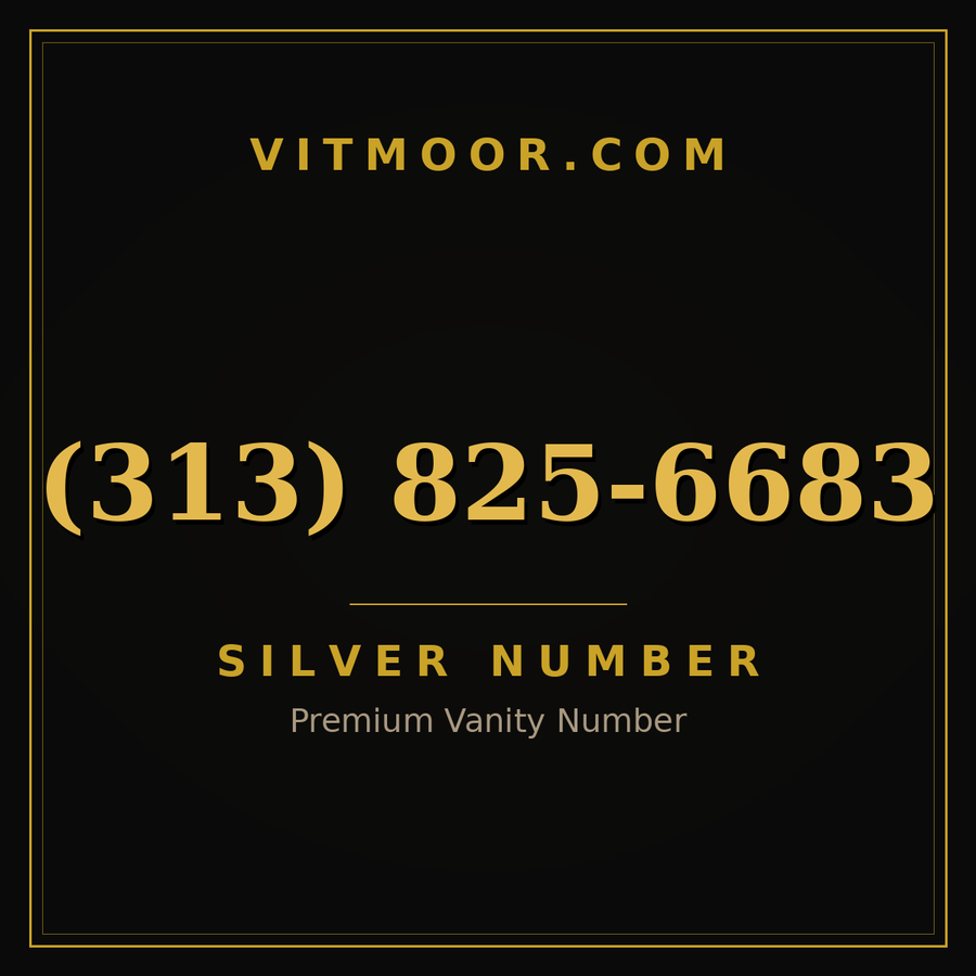 VITMOOR Silver premium number (313) 825-6683