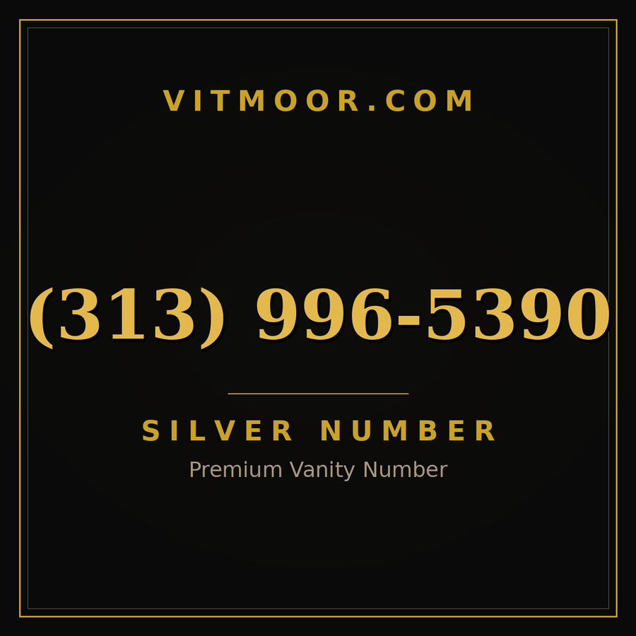 VITMOOR Silver premium number (313) 996-5390