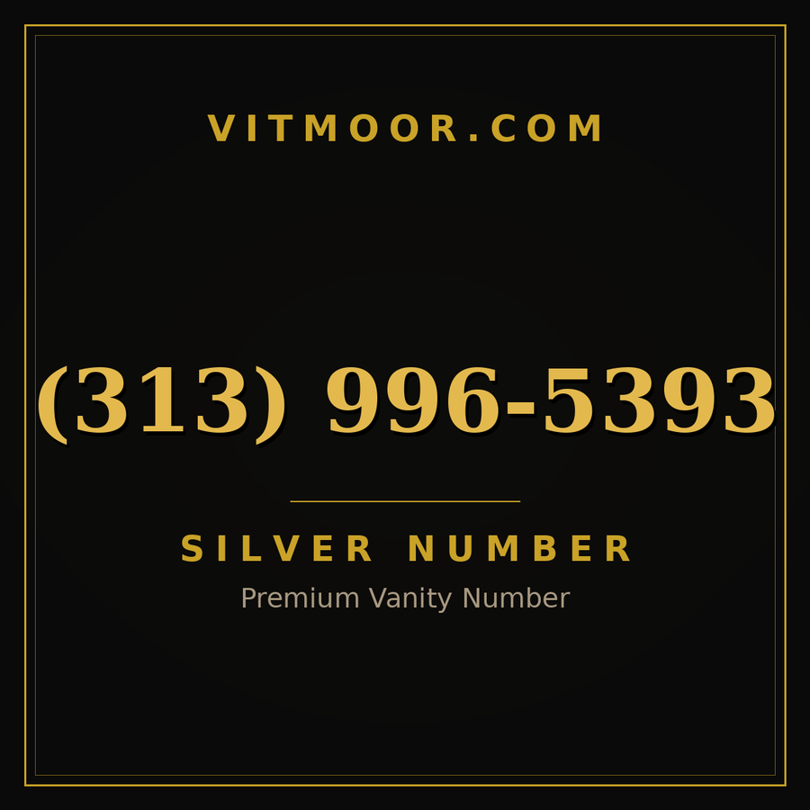 VITMOOR Silver premium number (313) 996-5393