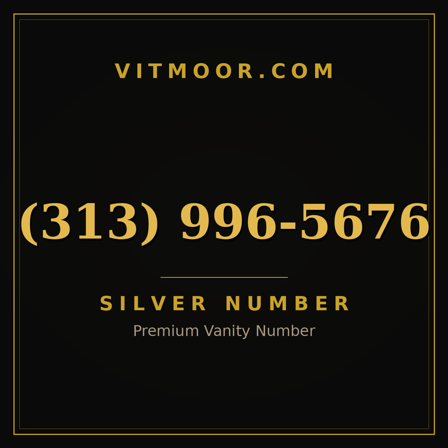 VITMOOR Silver premium number (313) 996-5676