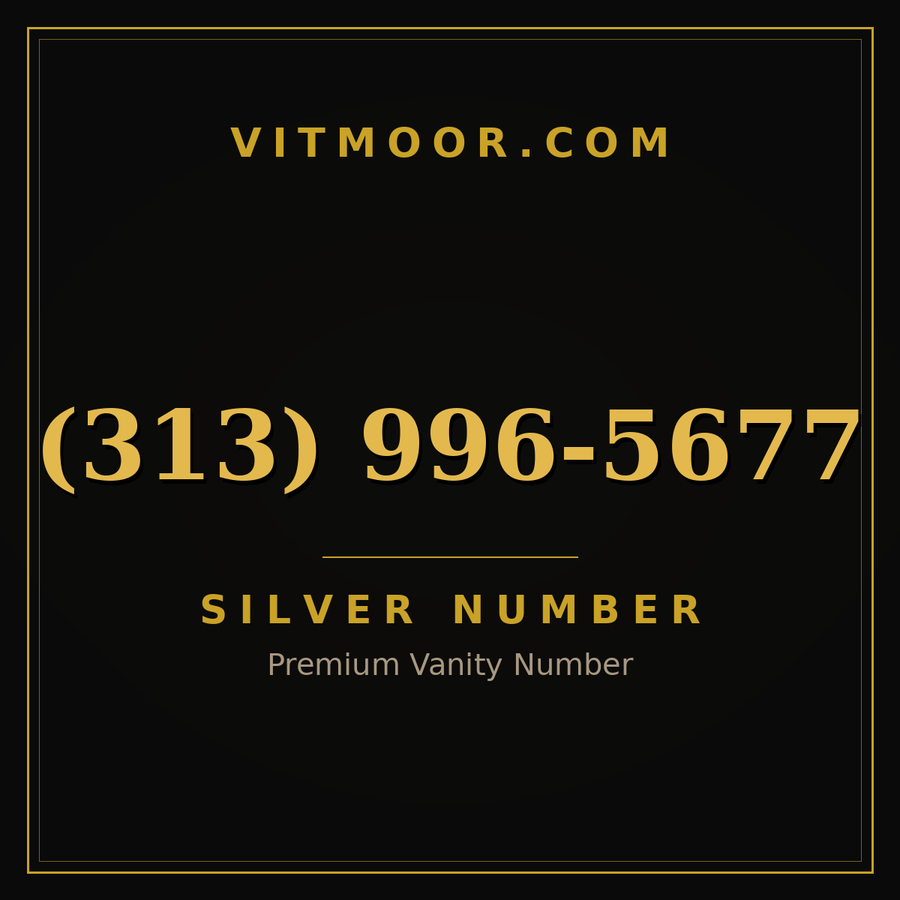 VITMOOR Silver premium number (313) 996-5677