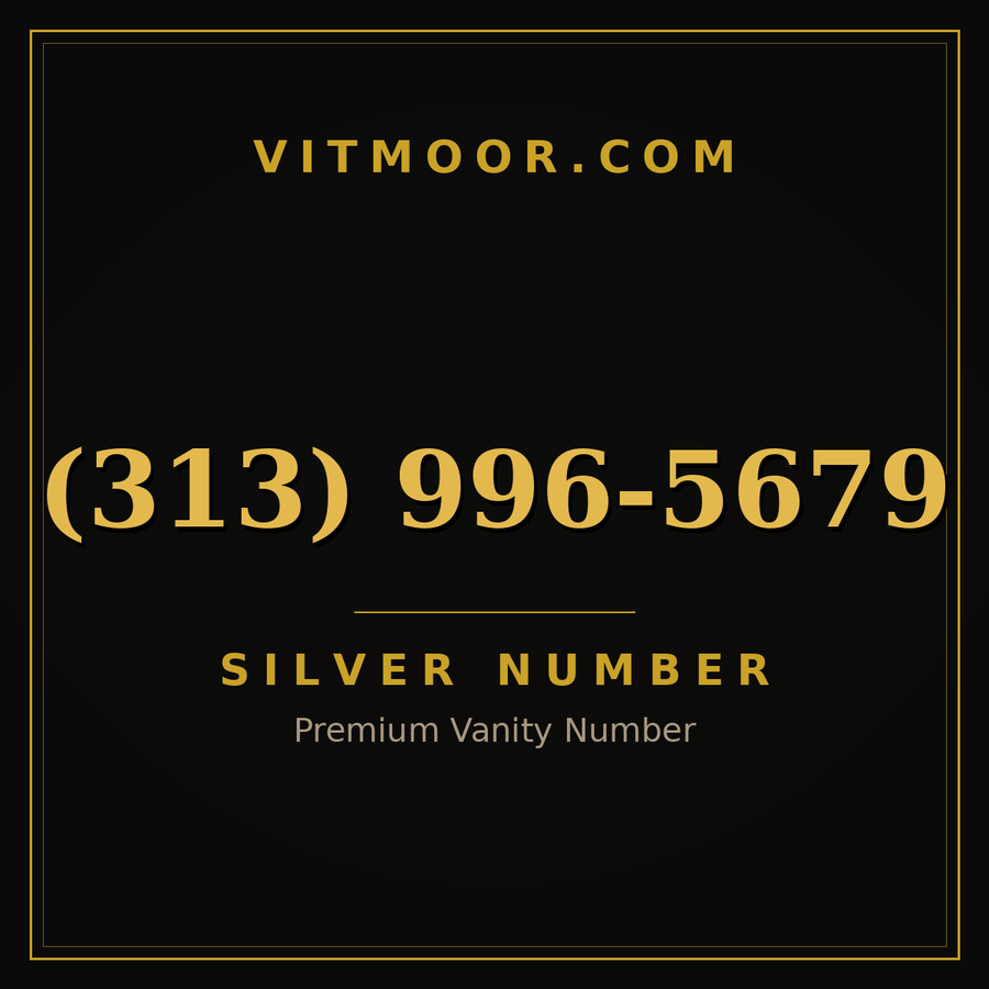 VITMOOR Silver premium number (313) 996-5679