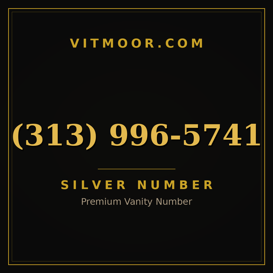 VITMOOR Silver premium number (313) 996-5741