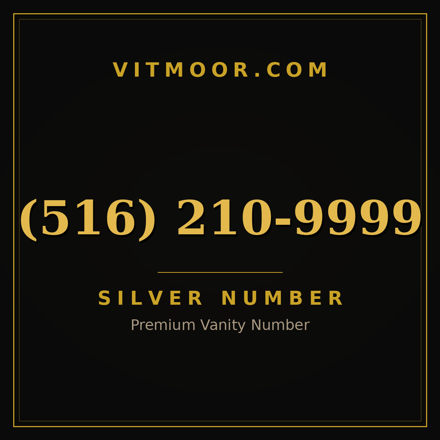VITMOOR Silver premium number (516) 210-9999