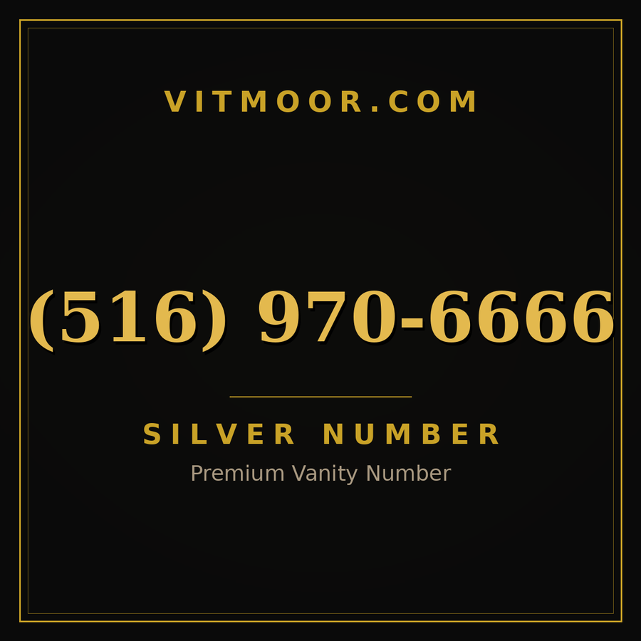 VITMOOR Silver premium number (516) 970-6666
