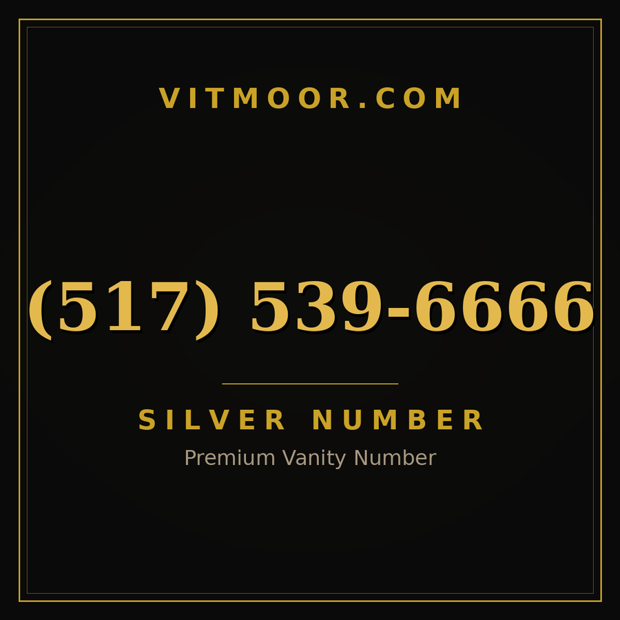 VITMOOR Silver premium number (517) 539-6666