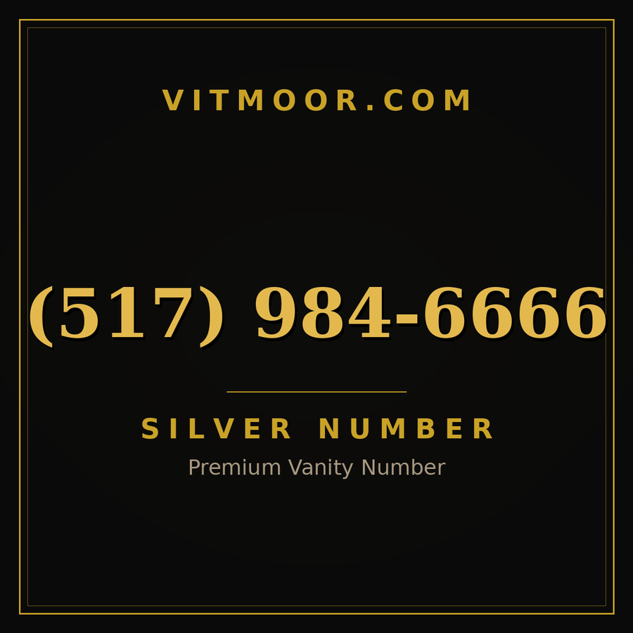VITMOOR Silver premium number (517) 984-6666