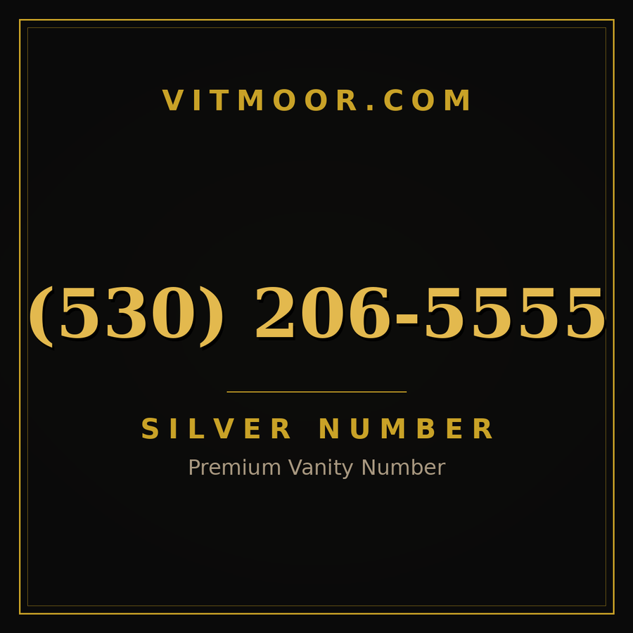 VITMOOR Silver premium number (530) 206-5555