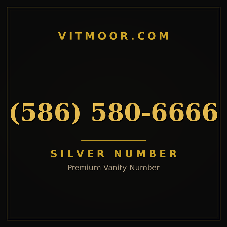 VITMOOR Silver premium number (586) 580-6666